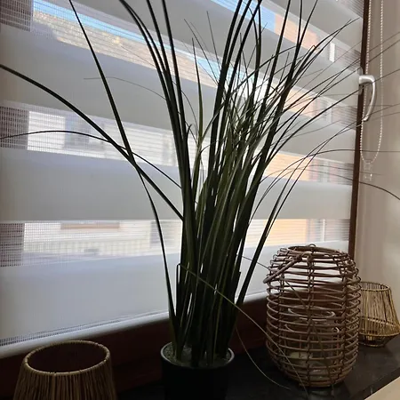 Happy Apartment